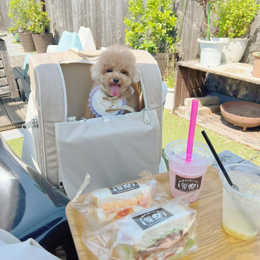 埼玉の犬連れできるカフェ