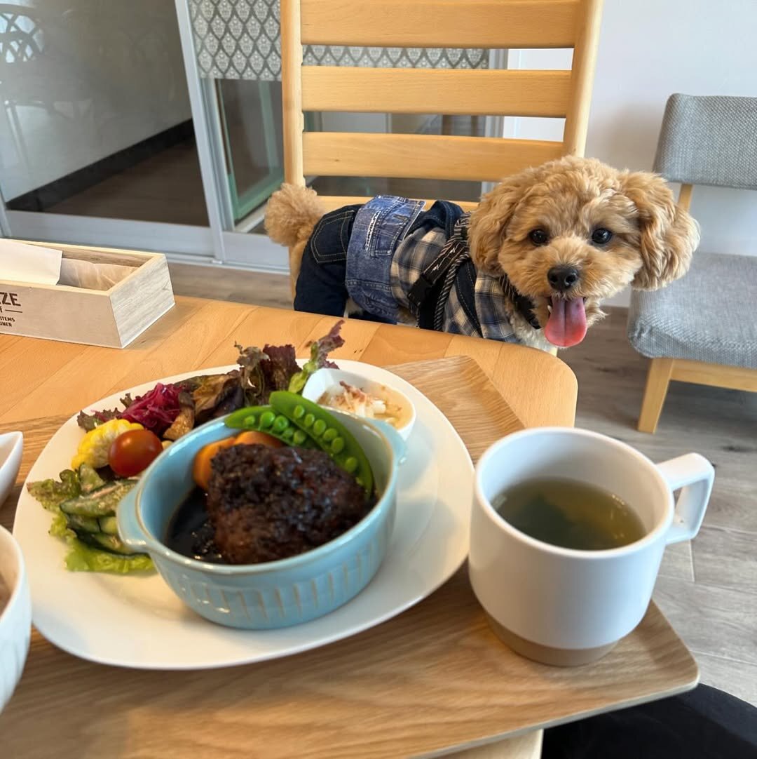長崎の犬連れで行けるカフェ
