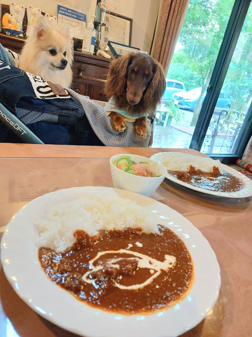 大分の犬連れできるカフェ