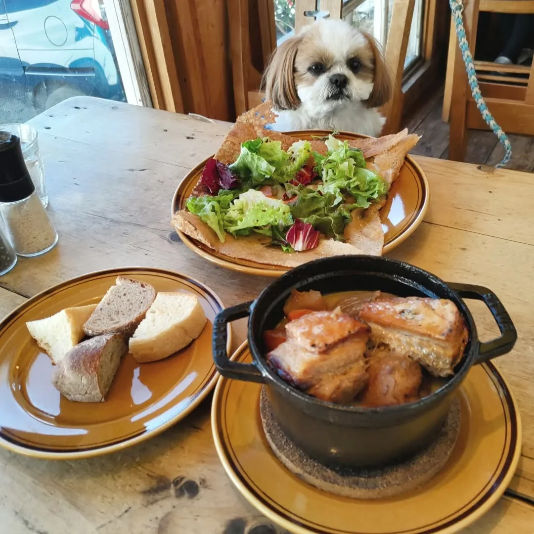 八王子の犬連れできるカフェ
