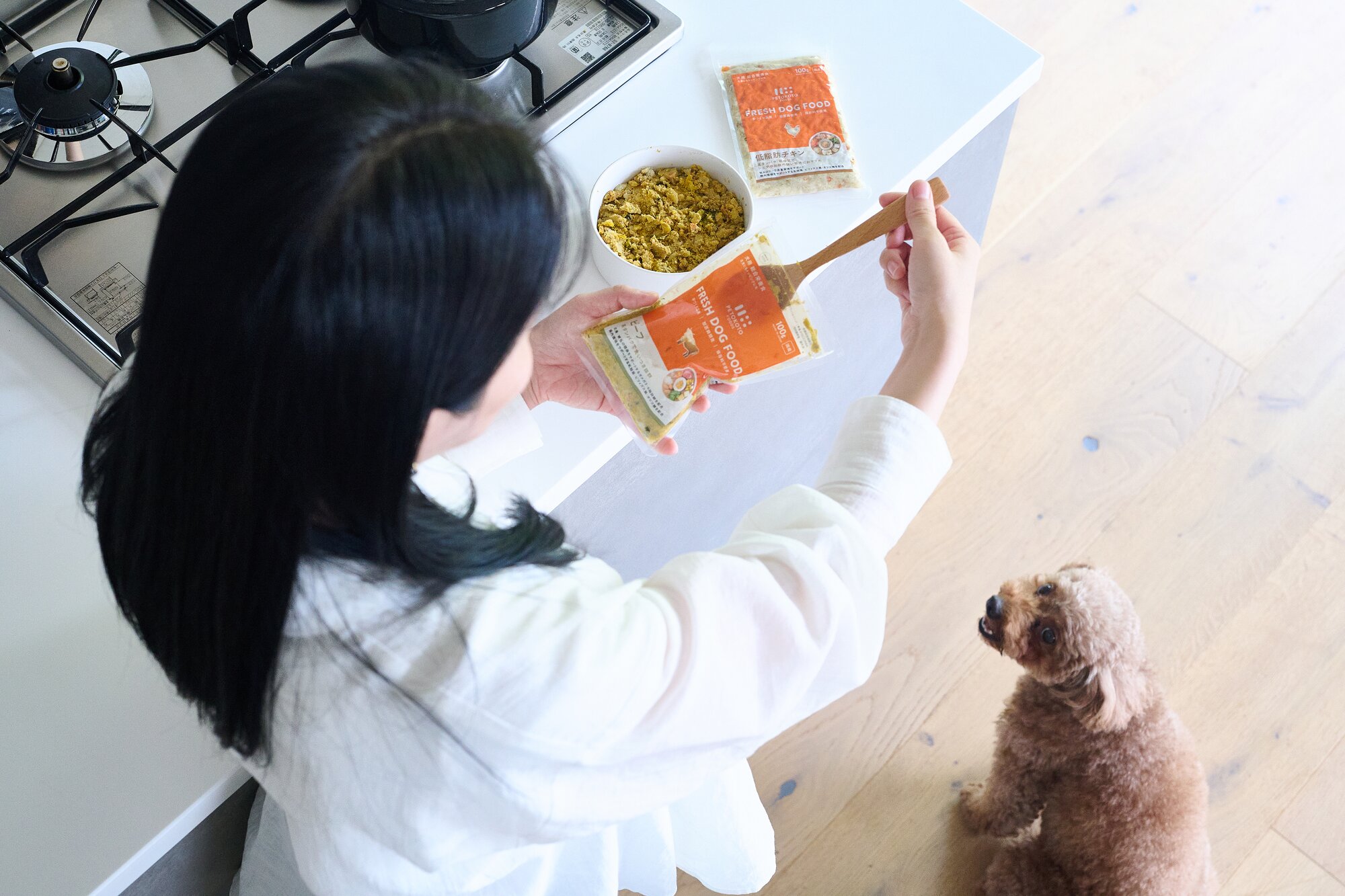 ペトコトフーズの準備を待つ犬