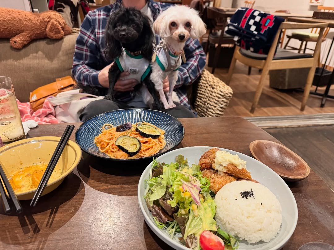 熊本市の犬連れできるカフェ