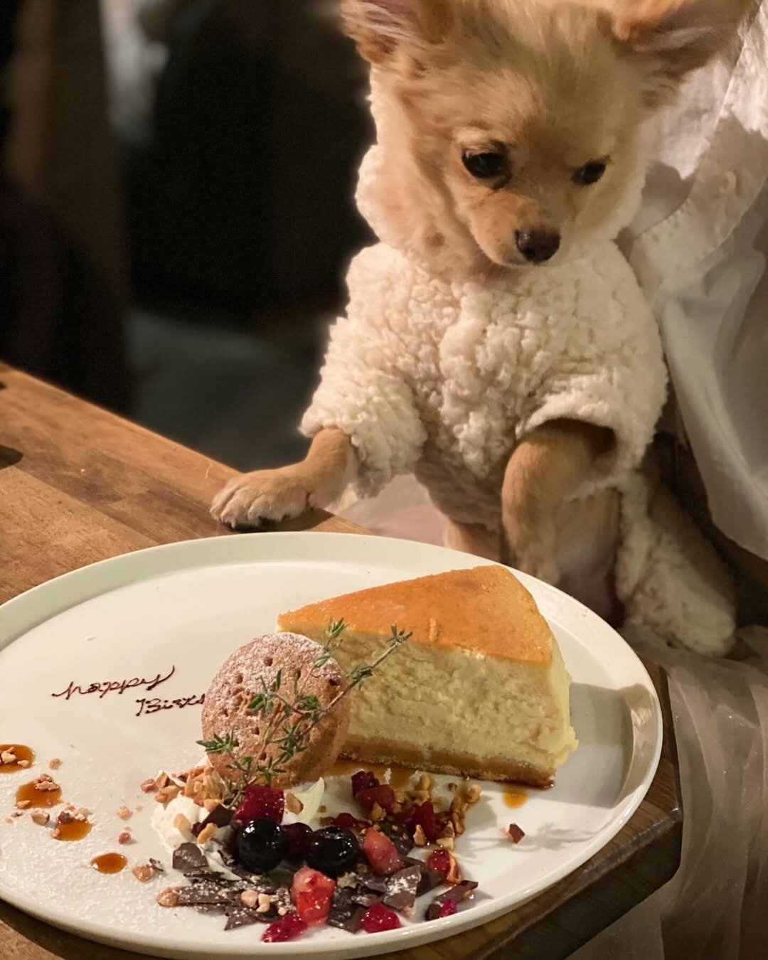 恵比寿の犬連れできるカフェ
