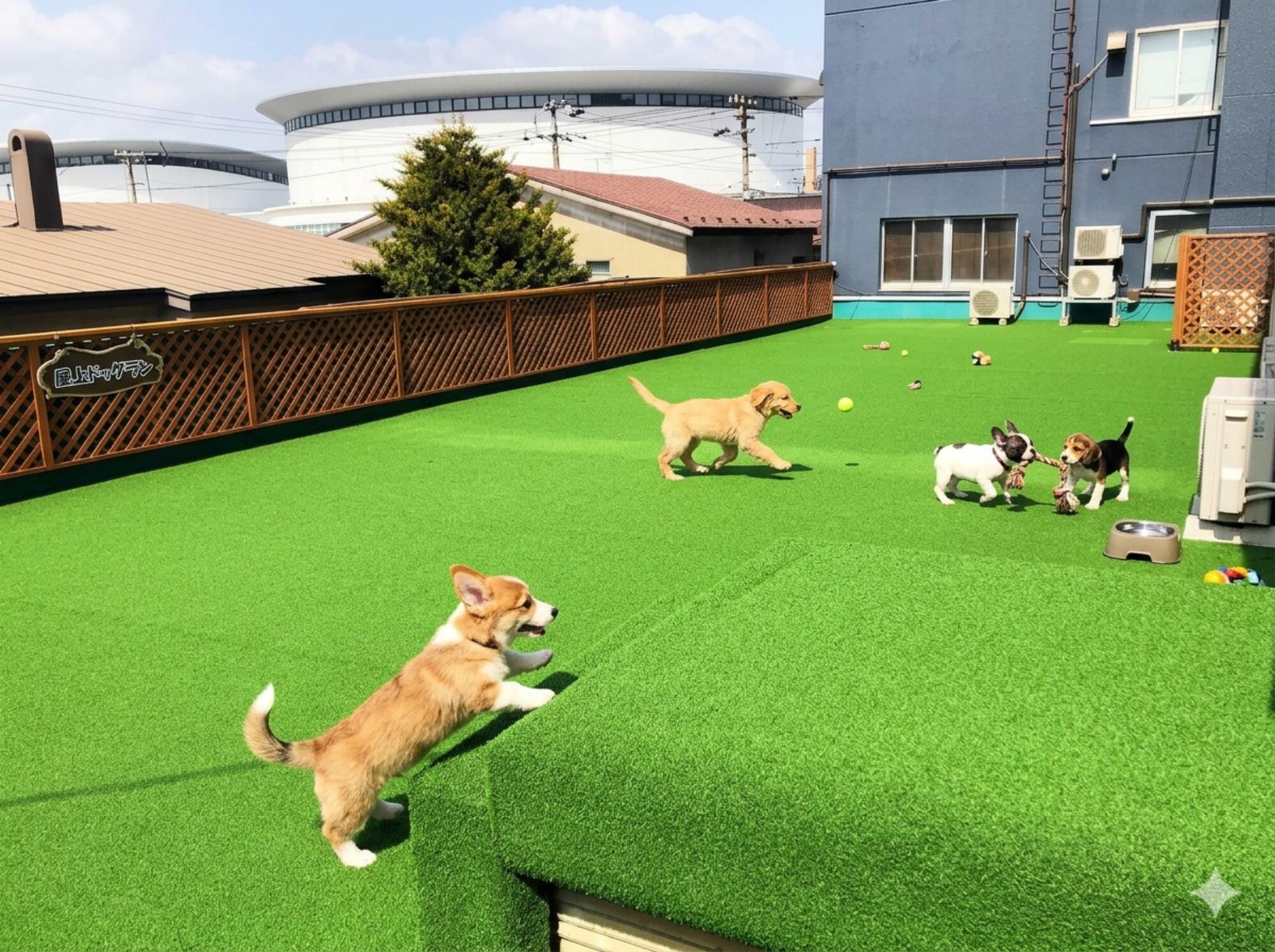 湯の川温泉 ホテル雨宮館のドッグラン