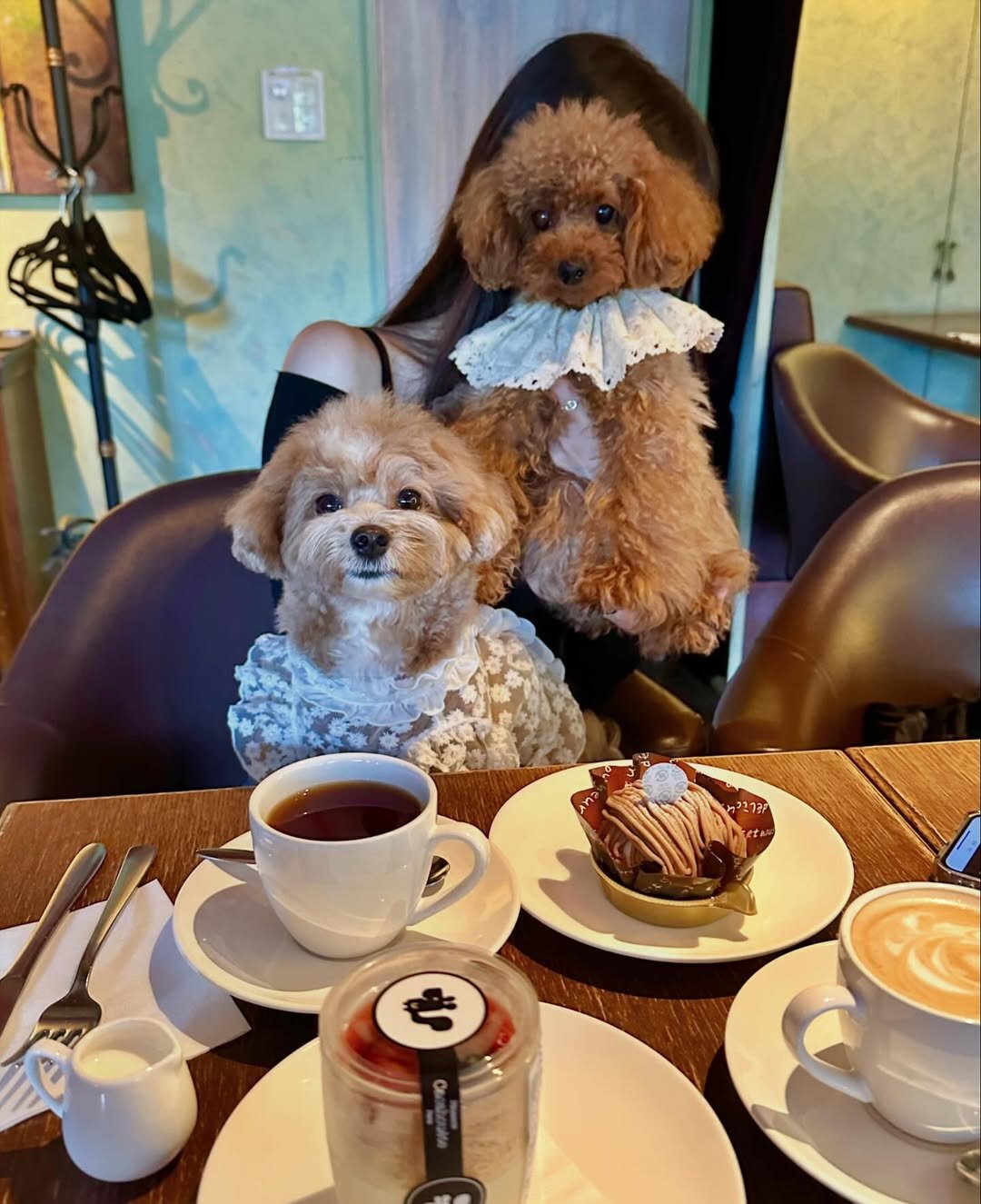 恵比寿の犬連れできるカフェ