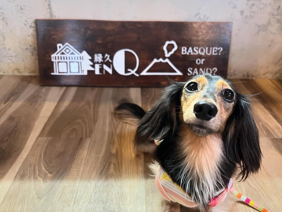 鹿児島の犬連れできるカフェ