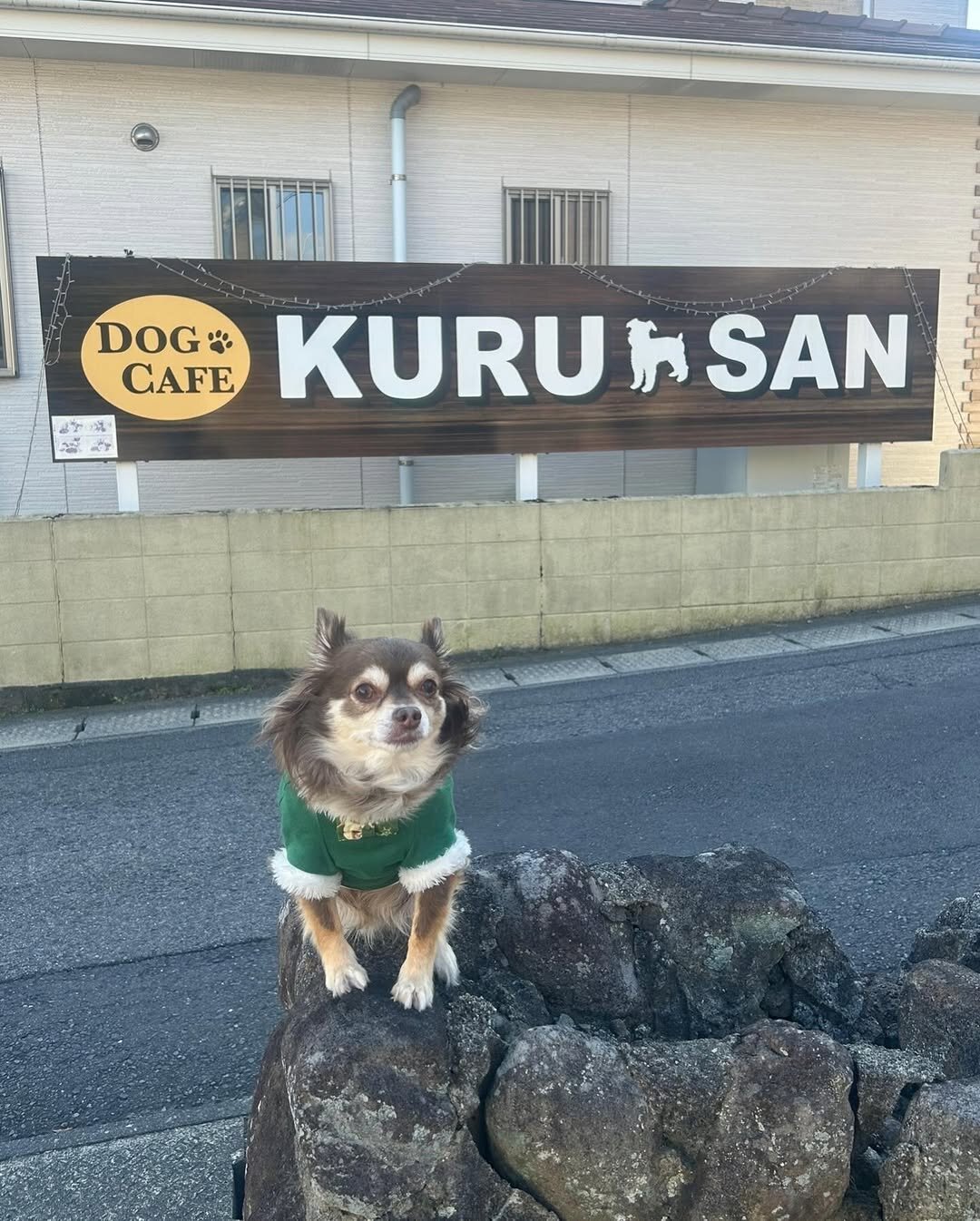 大分の犬連れできるカフェ