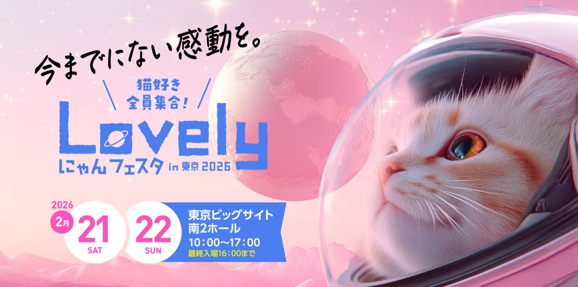 猫の日のイベント