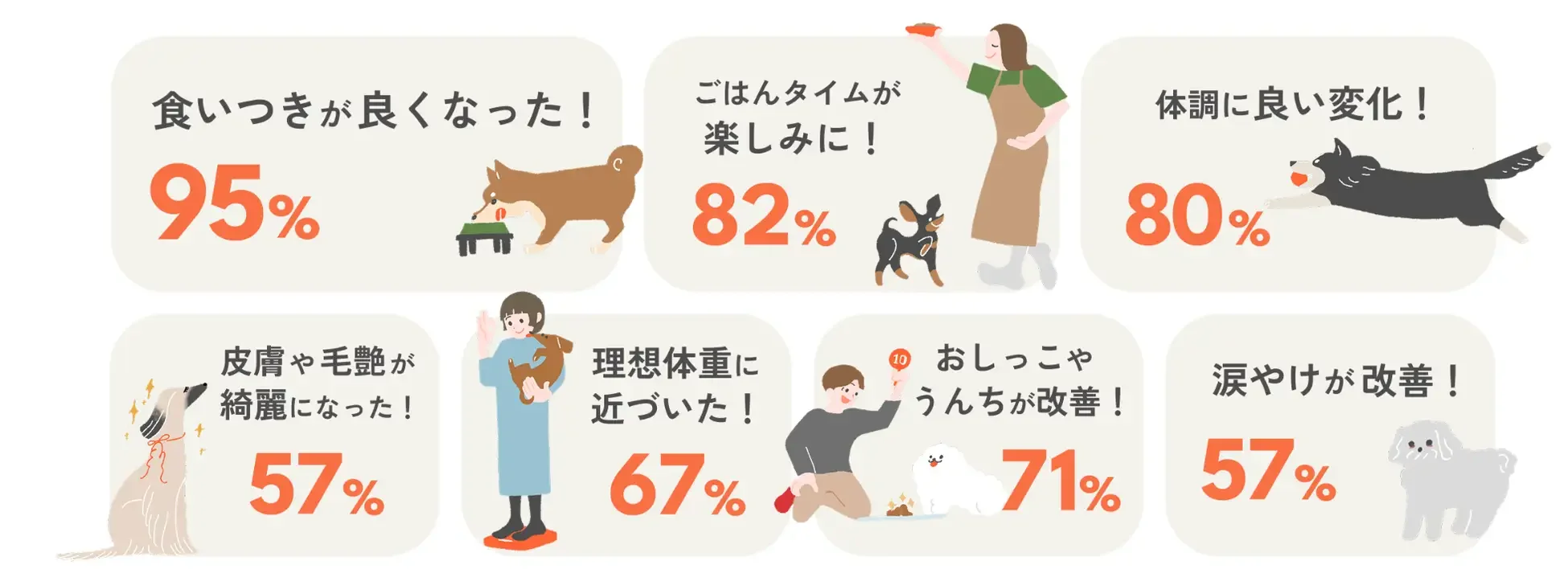 ペトコトフーズ利用者へのアンケート結果