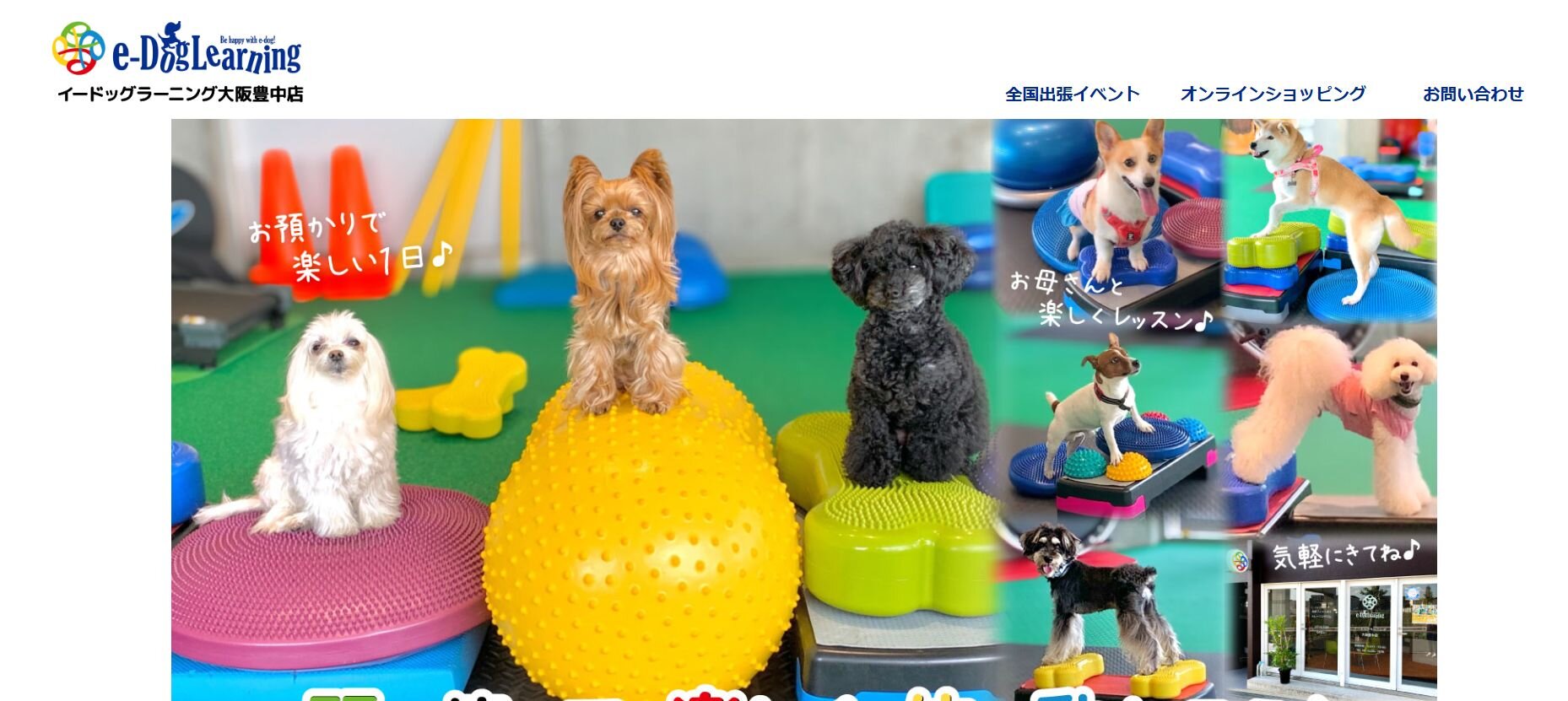 フィットネス・プールなどがある犬のジム施設