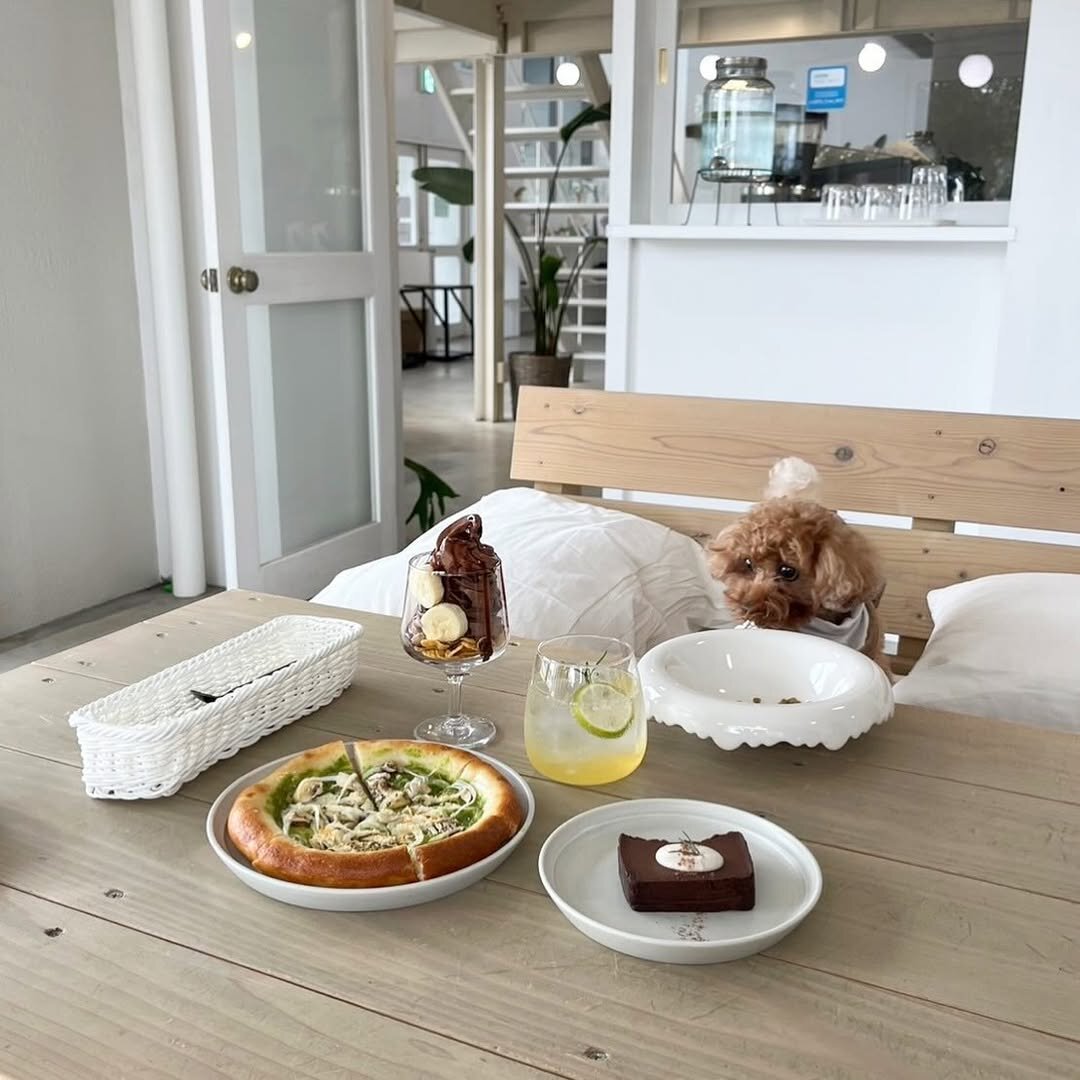 京都の犬連れできるカフェ