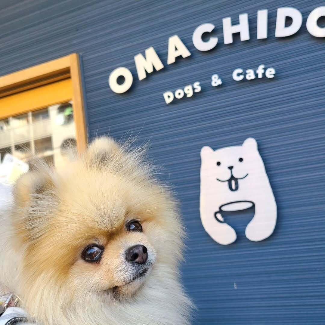 京都の犬連れできるカフェ