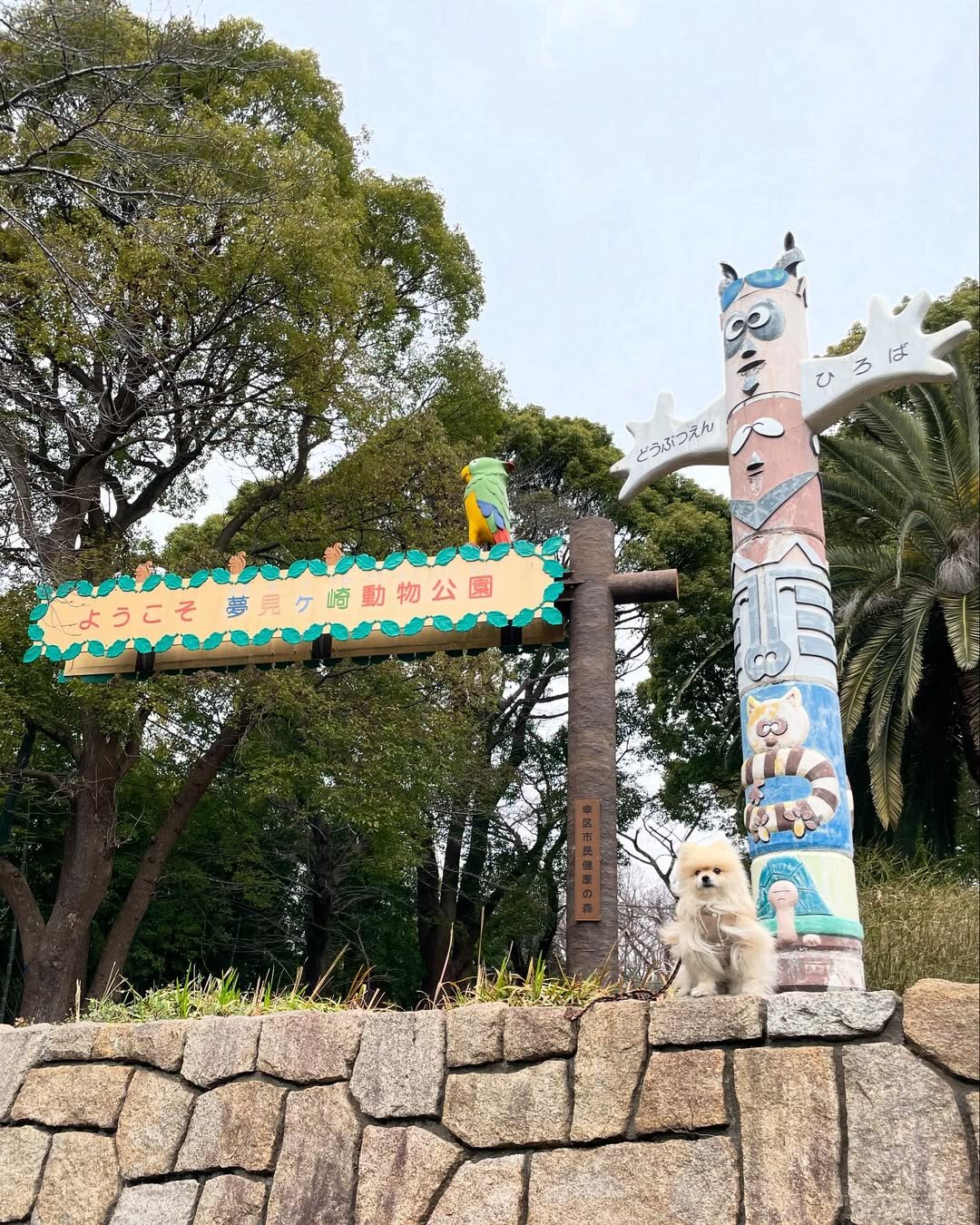 犬と行ける動物園にいる犬
