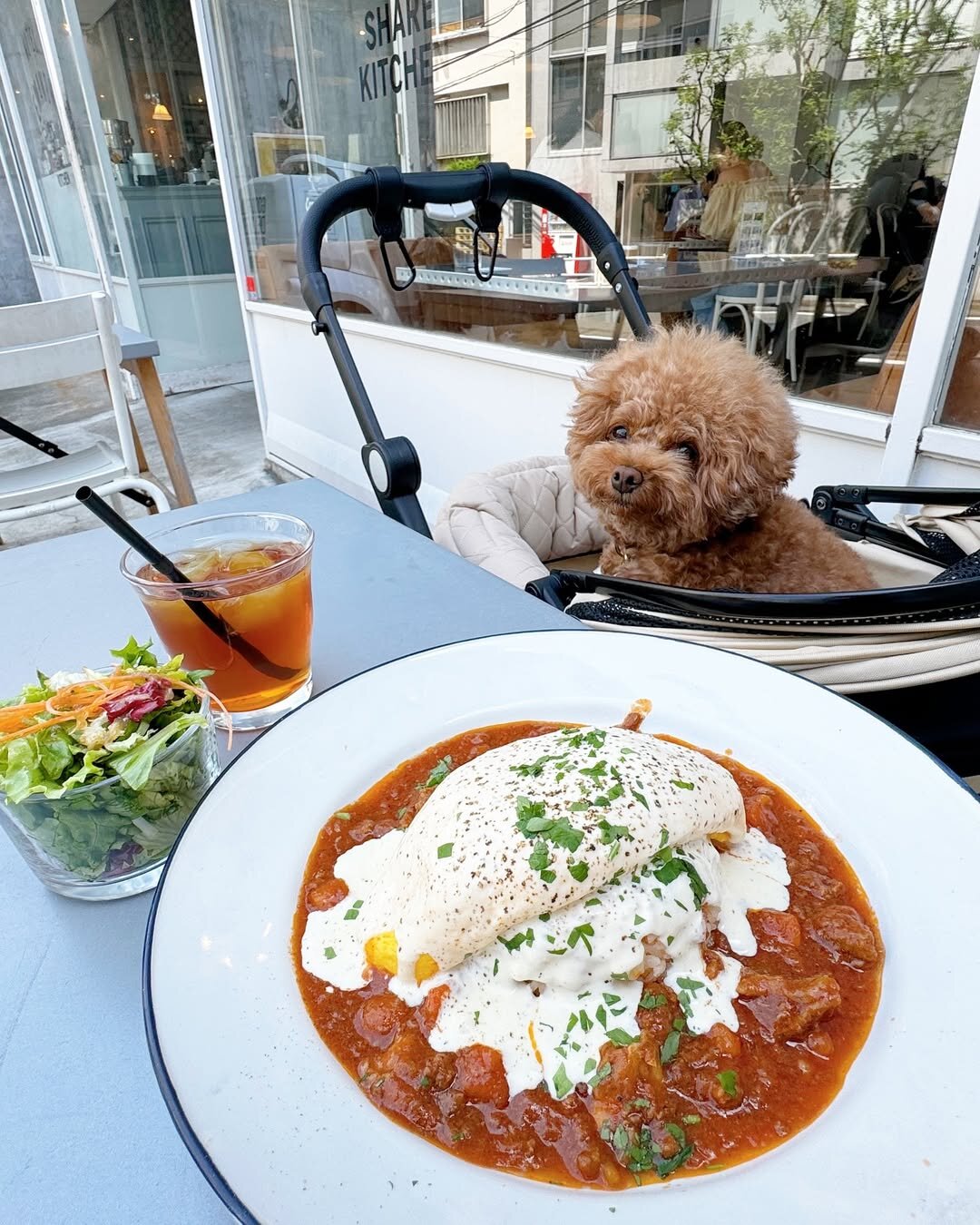 渋谷の犬連れで入れるカフェのエマノン ザ ソウル シェア キッチンにいる犬