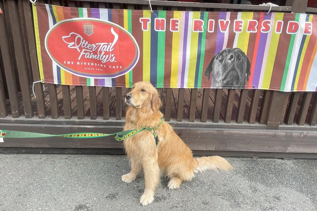 浜松市の犬連れできるカフェ