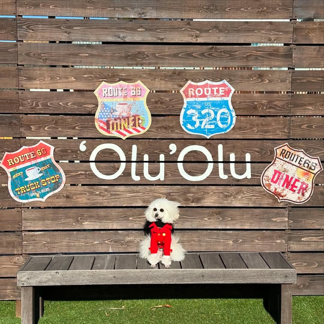 浜松市の犬連れできるカフェ