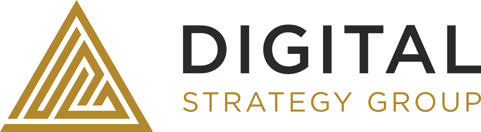 Digital Strategy Group logo