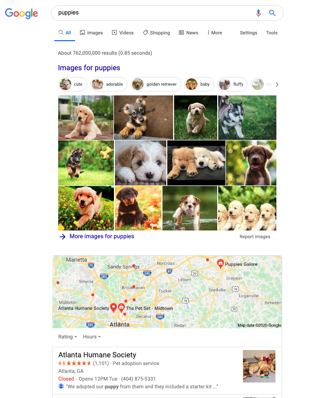 Puppies SERP