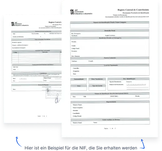 NIF document