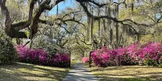 Brookgreen Gardens