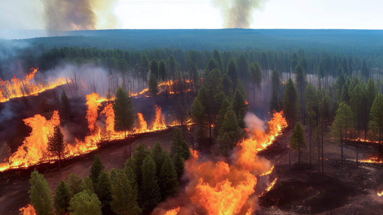 Your Guide to Staying Ahead of a Wildfire: How Small Businesses Can Prepare