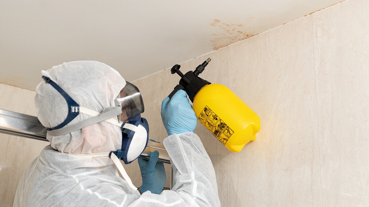 10 Facts About Mold Every Small Business Owner Should Know