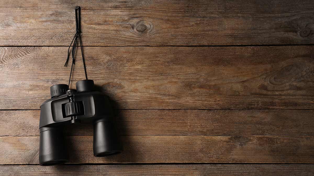 Binoculars Size Chart