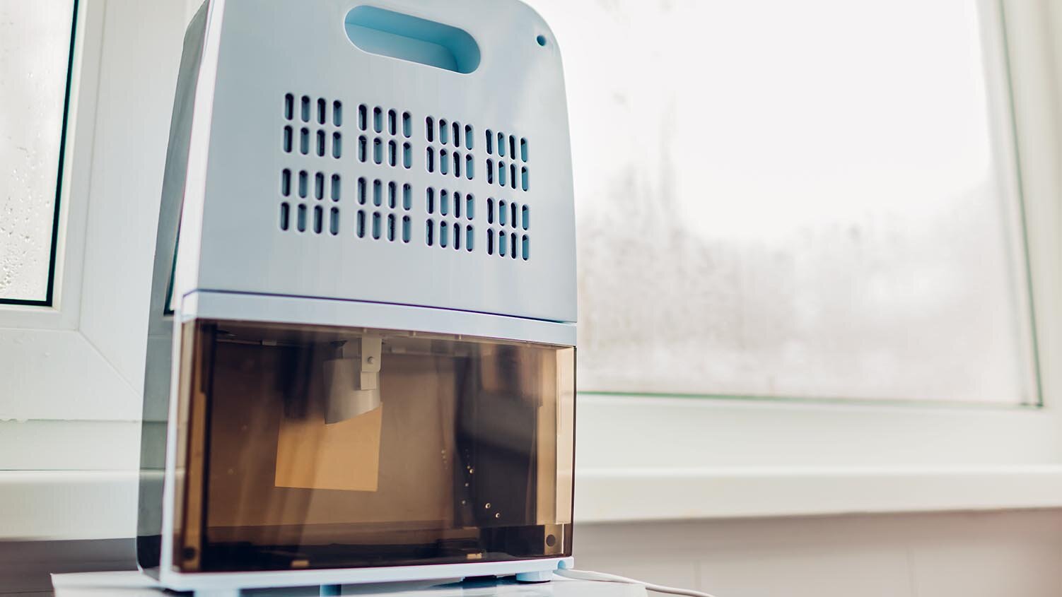 What Do Dehumidifiers Do and How Are They Used?
