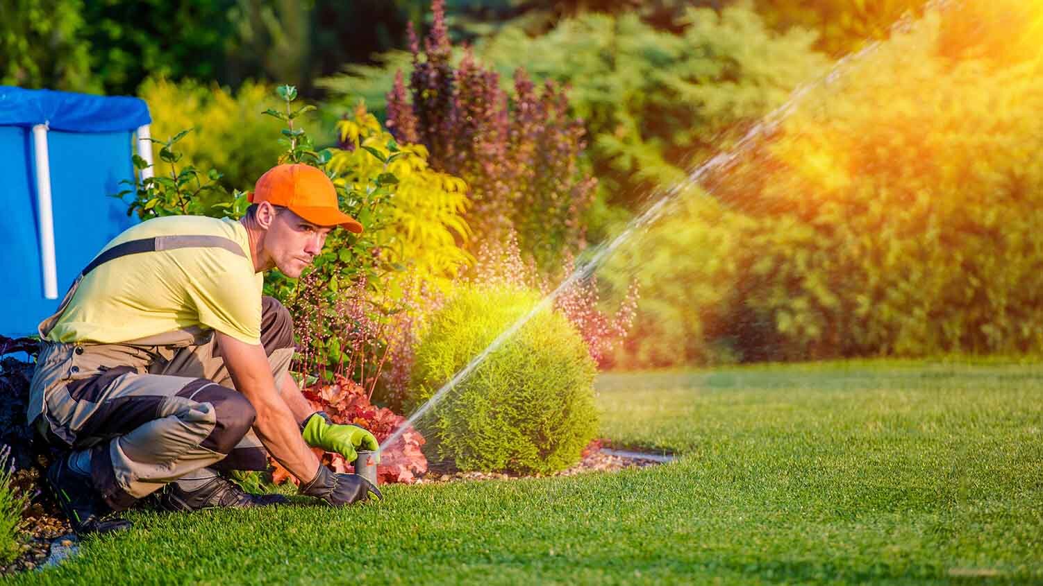 A Lawn Watering Guide