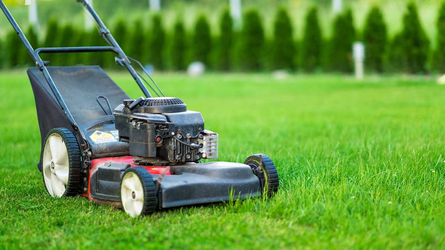 How to Mow and Edge a Lawn