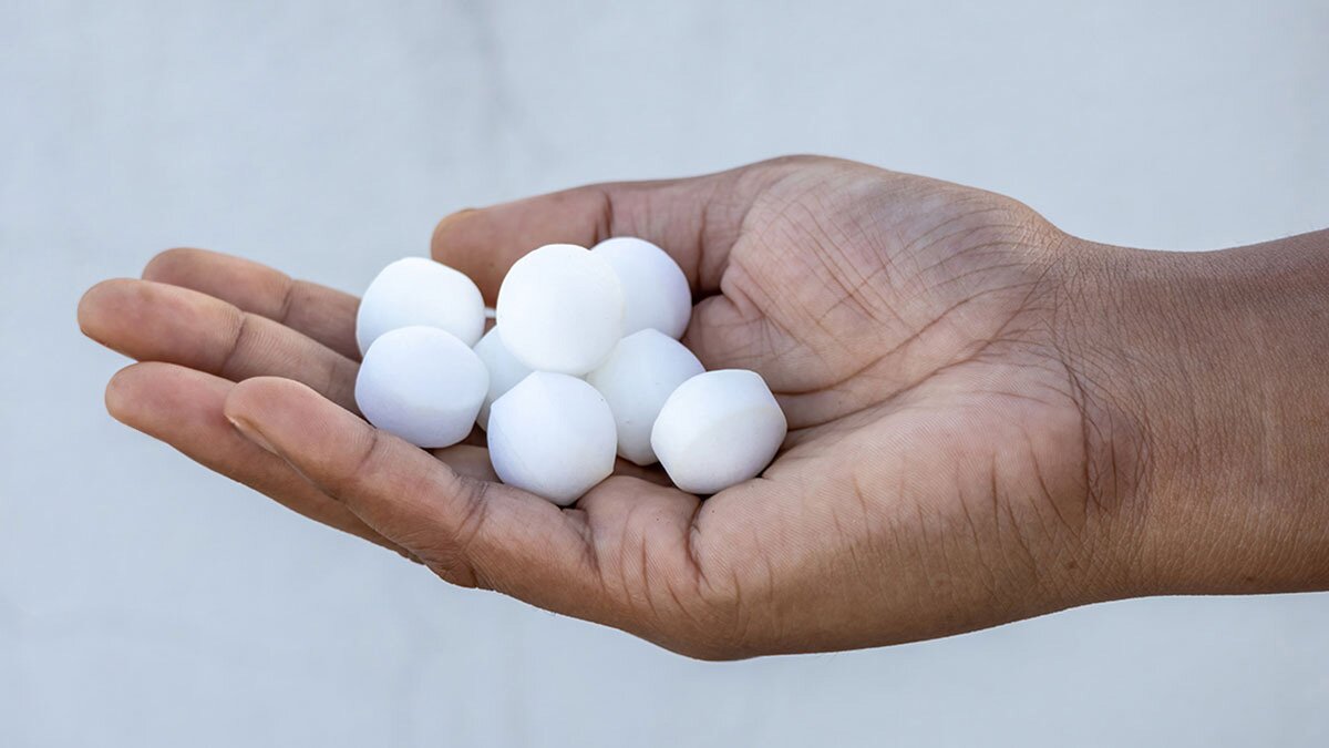 Are Mothballs a Safe Roach Control Option for Businesses?