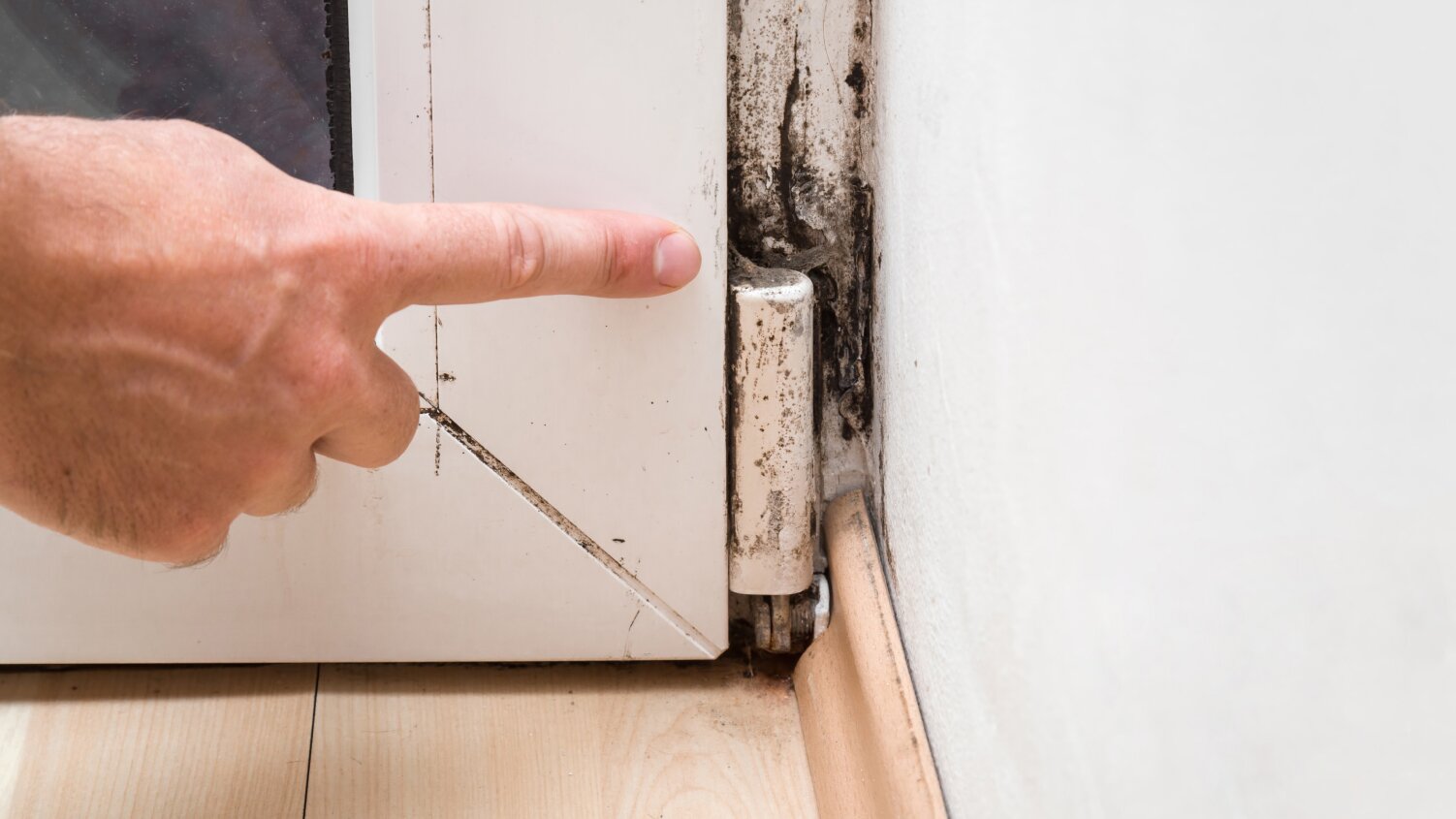 How to Remove Mold from Your Commercial Building