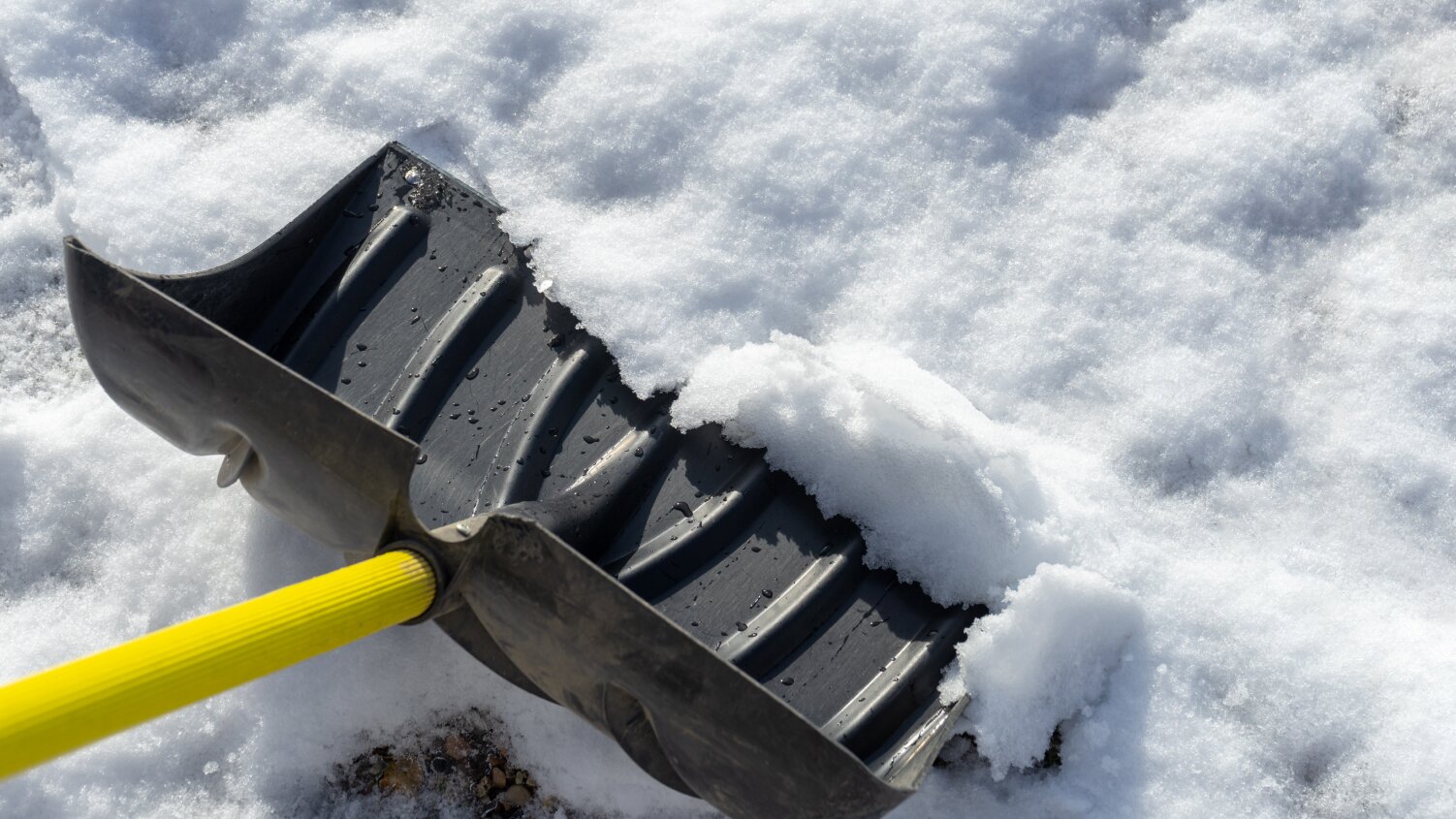 How to Choose the Right Snow Shovel for Your Small Business
