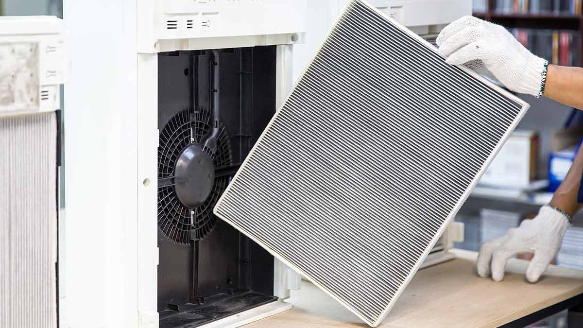 How to Clean an Air Purifier: A Step-by-Step Guide for Business Owners