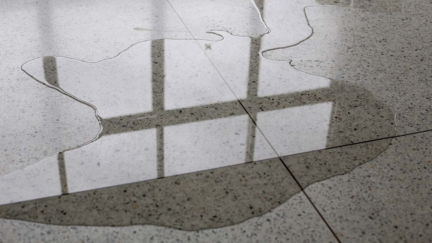 Image of a puddle on a floor.
