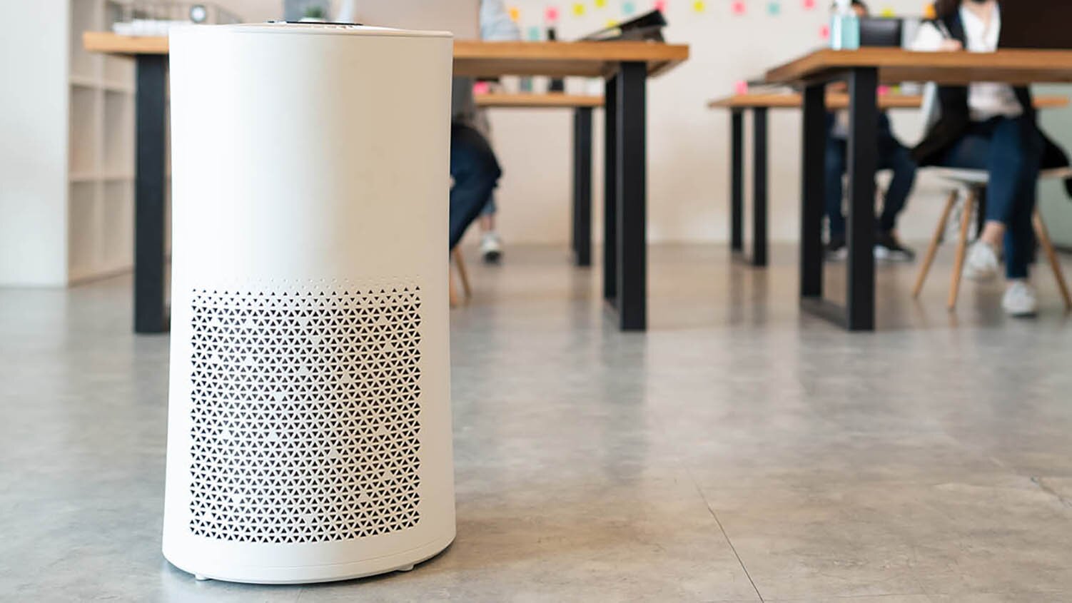 How to Determine If Your Business Needs an Air Purifier