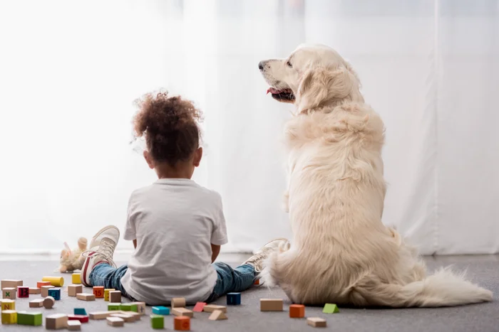 A child and a dog sitting in a play room