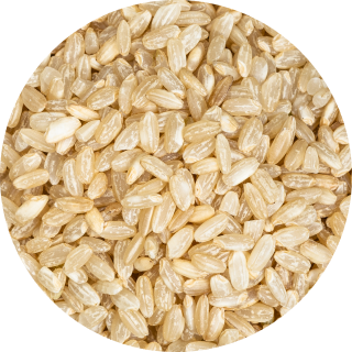 brown rice photo