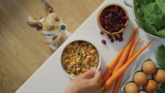 Freshpet launches plant-based pet food image