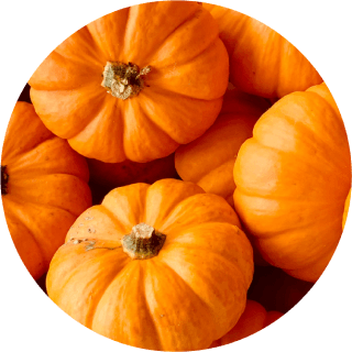 pumpkin photo