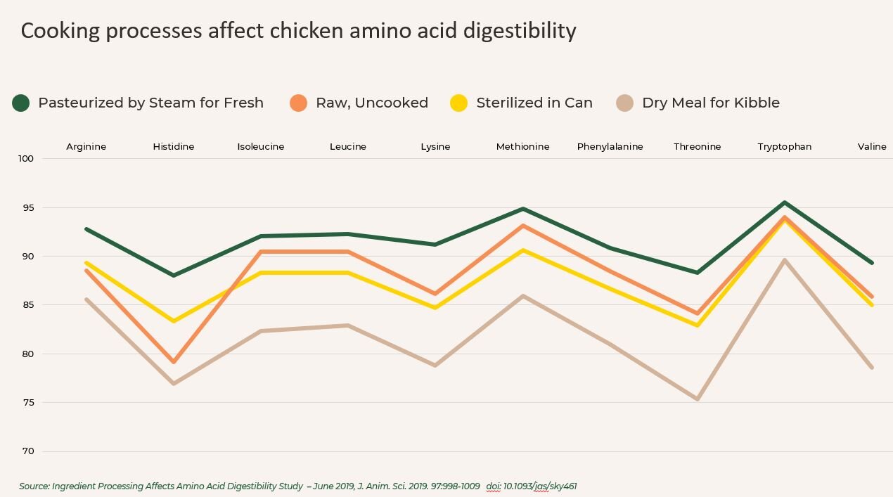 Nutrient availability comparison across fresh, kibble, and raw dog food