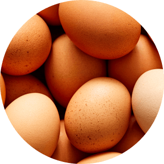 Eggs