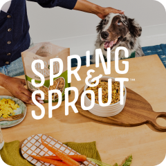 Spring & Sprout