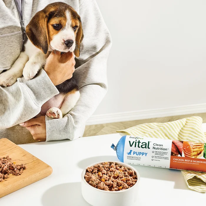 Puppy looking at Freshpet Vital