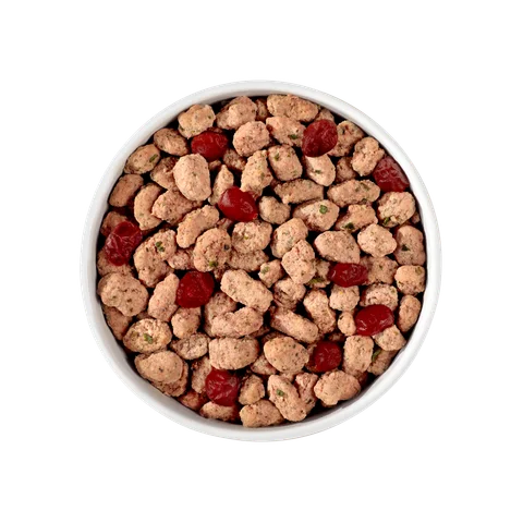 grain free beef & lamb recipe with antioxidant-rich fruits & vegetables