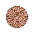 Image of a bowl containing Freshpet Deli Fresh Beef Recipe with Carrots & Brown Rice