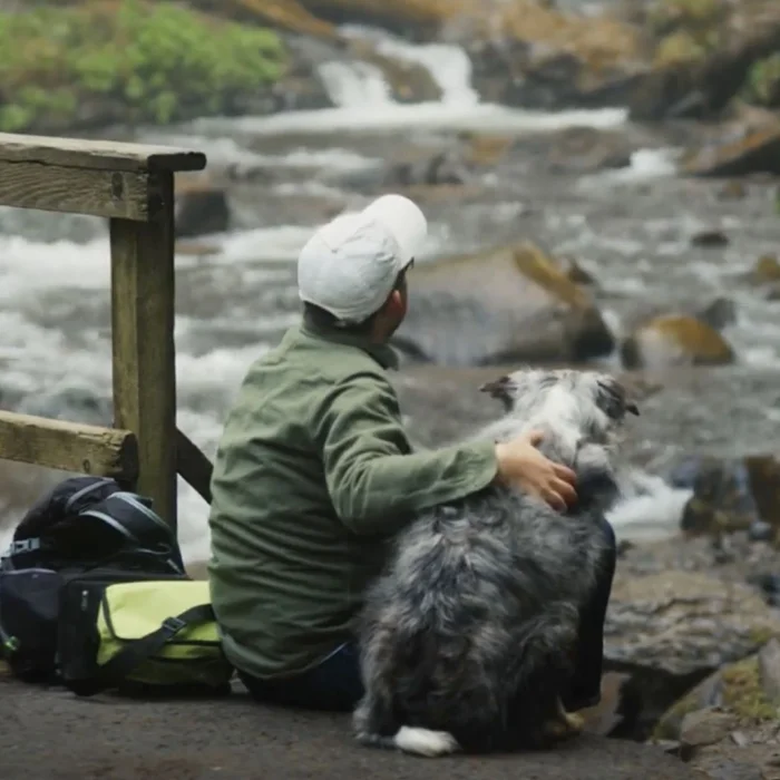 A person sitting next to a river with their dog. 