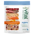 Front package image Freshpet® Vital Chicken, Egg, Salmon & Beef Puppy Recipe With Pumpkin, Cranberries & Carrots