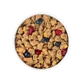 Bowl image of Freshpet® Nature’s Fresh Grain Free Wild Alaskan Pollock & Atlantic Salmon