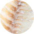 Wild Alaskan pollock
